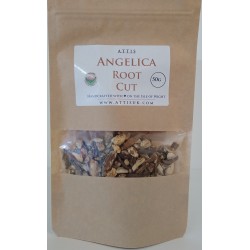 ATTIS Angelica Archangelica Root cut